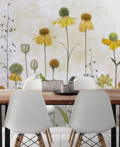 gul helenium blommor tapeter gul helenium blommor tapeter