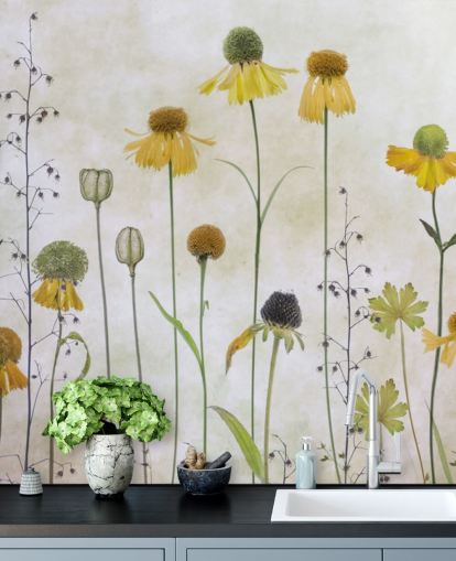 flores amarelas helenium wallpaper