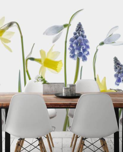 daffodils and blue bells spring flowers wallpaper daffodils and blue bells spring flowers wallpaper