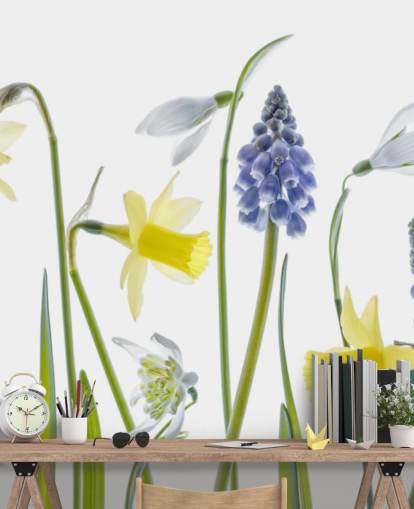 påskliljor och blå klockor våren blommor tapeter påskliljor och blå klockor våren blommor tapeter