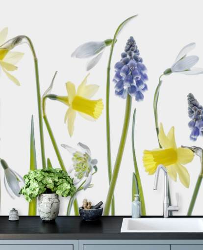 jonquilles et cloches bleues fleurs de printemps papier peint jonquilles et cloches bleues fleurs de printemps papier peint