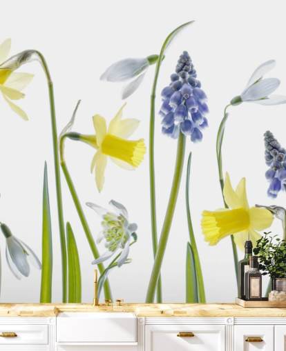 daffodils and blue bells spring flowers wallpaper