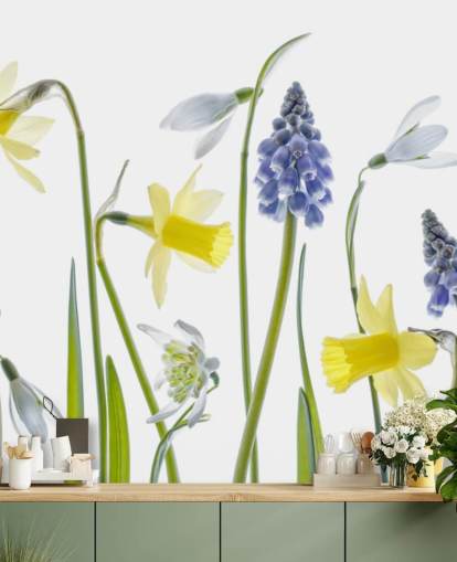 daffodils and blue bells spring flowers wallpaper daffodils and blue bells spring flowers wallpaper