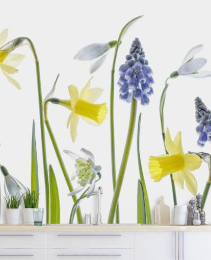 daffodils and blue bells spring flowers wallpaper