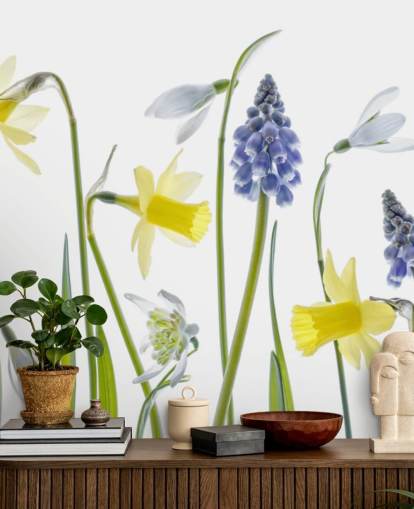 daffodils and blue bells spring flowers wallpaper