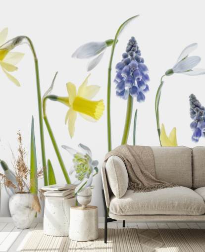 jonquilles et cloches bleues fleurs de printemps papier peint jonquilles et cloches bleues fleurs de printemps papier peint