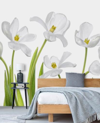 white tulips growing from ground wallpaper