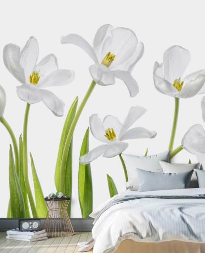 weiße Tulpen wachsen aus gemahlenen Tapeten weiße Tulpen wachsen aus gemahlenen Tapeten