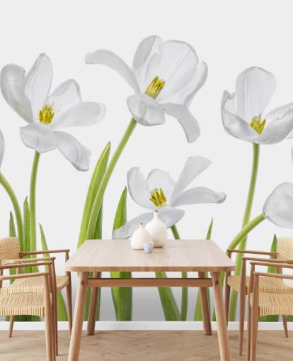 tulipes blanches poussant du papier peint au sol tulipes blanches poussant du papier peint au sol