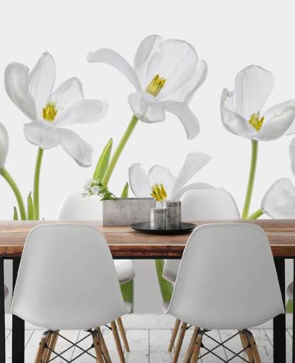 tulipes blanches poussant du papier peint au sol tulipes blanches poussant du papier peint au sol