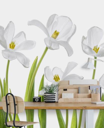 tulipas brancas crescendo a partir de papel de parede