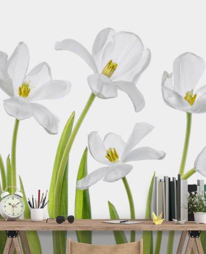 tulipanes blancos que crecen del papel tapiz molido