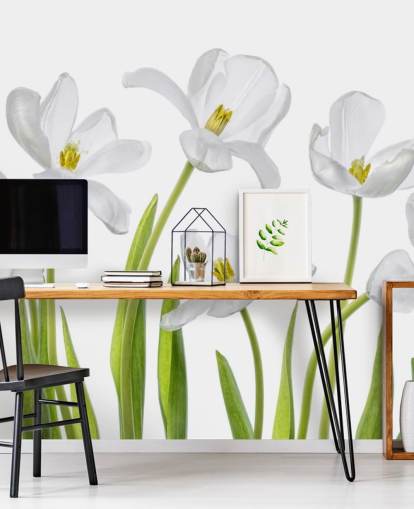 tulipanes blancos que crecen del papel tapiz molido