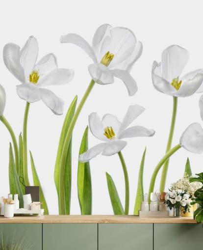 white tulips growing from ground wallpaper
