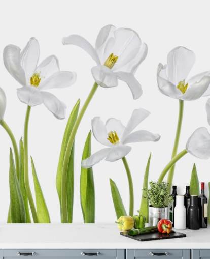 white tulips growing from ground wallpaper