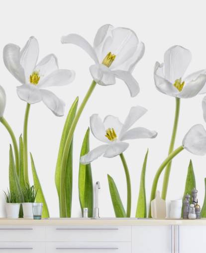white tulips growing from ground wallpaper