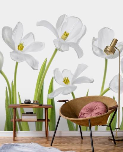 white tulips growing from ground wallpaper