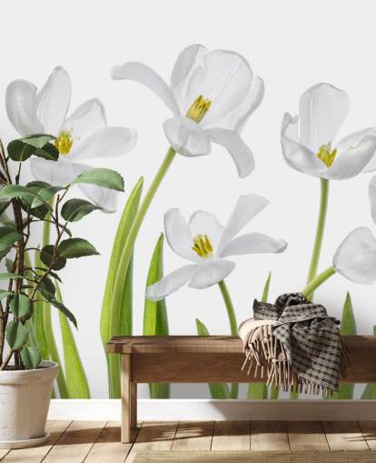 witte tulpen groeien van grondbehang