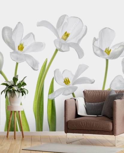 tulipas brancas crescendo a partir de papel de parede