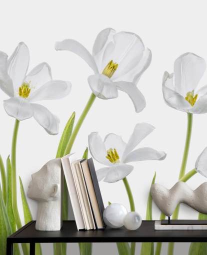 tulipani bianchi che crescono da carta da parati tulipani bianchi che crescono da carta da parati