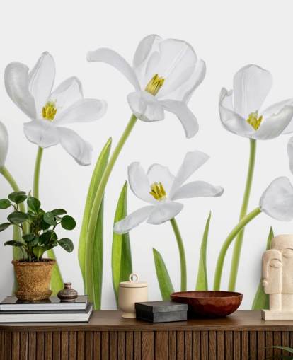white tulips growing from ground wallpaper