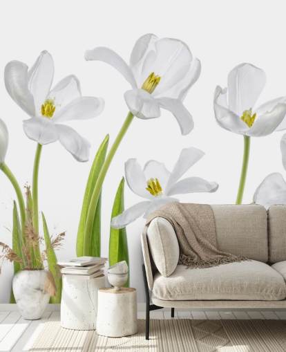 tulipas brancas crescendo a partir de papel de parede