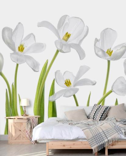 weiße Tulpen wachsen aus gemahlenen Tapeten