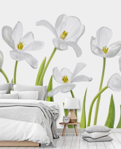 tulipas brancas crescendo a partir de papel de parede