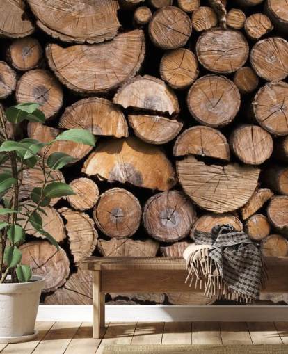 Log and Chopped Wood Wallpaper