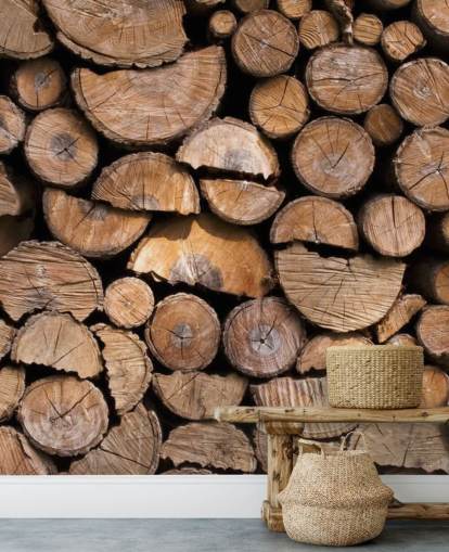 Baumstamm und gehacktes Holz Tapete