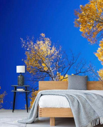 papel pintado de cielo azul con árboles amarillos