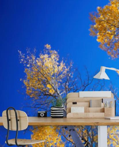 céu azul com árvores amarelas papel de parede céu azul com árvores amarelas papel de parede