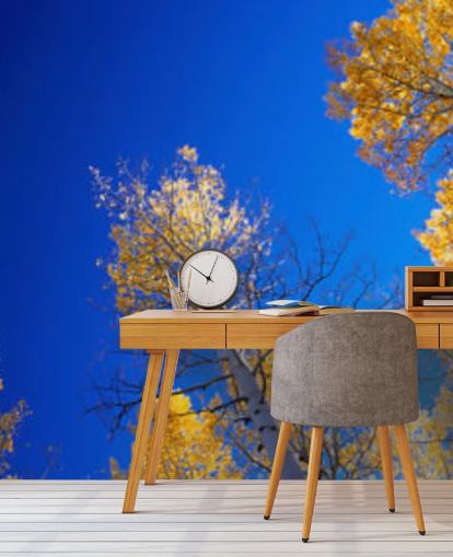 fond d'écran ciel bleu avec des arbres jaunes fond d'écran ciel bleu avec des arbres jaunes