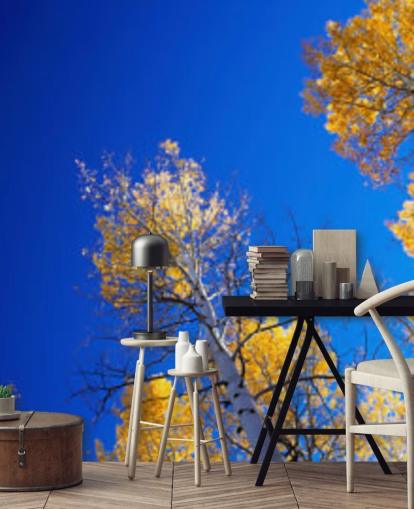 blue sky with yellow trees wallpaper