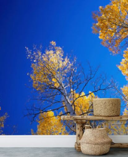 carta da parati cielo blu con alberi gialli