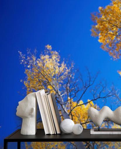 céu azul com árvores amarelas papel de parede