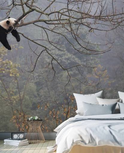 Fondos de panda in a tree Fondos de panda in a tree