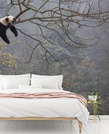 panda in a tree wallpaper