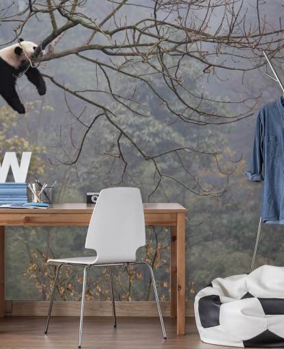 panda in a tree wallpaper