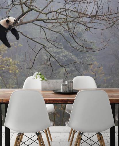 panda in a tree wallpaper