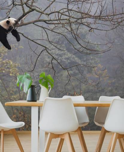 panda in a tree wallpaper