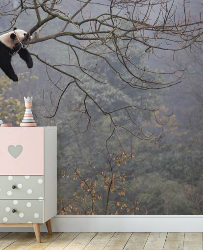 panda i ett träd tapeter