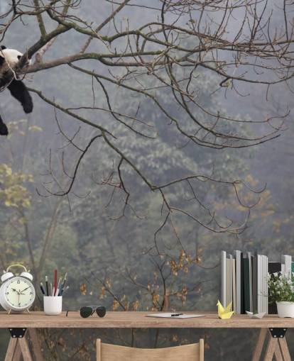papel de parede panda em uma árvore papel de parede panda em uma árvore