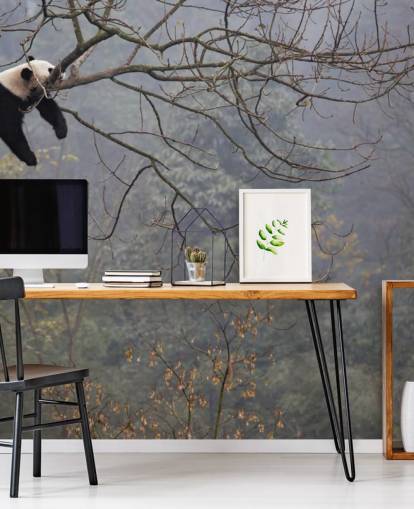 panda i et træ tapet