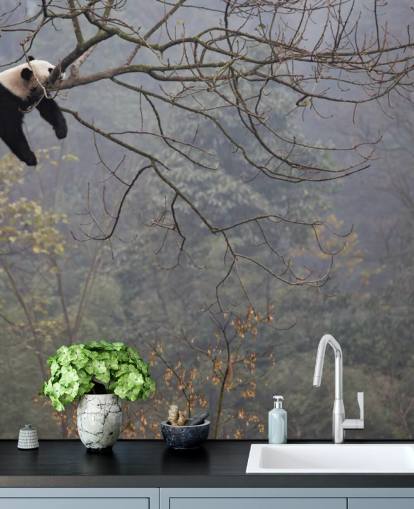 panda i et træ tapet