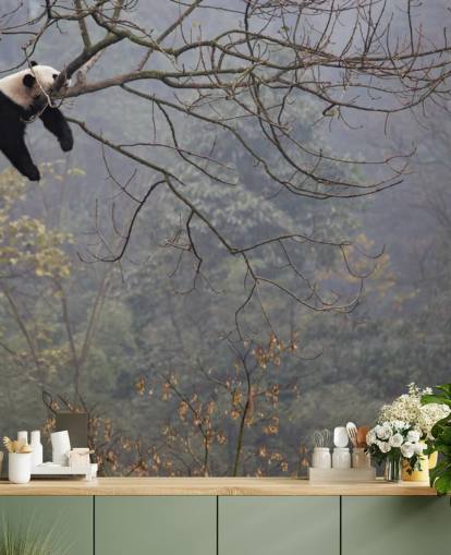 Fondos de panda in a tree