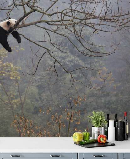 Panda in einem Baum Tapete