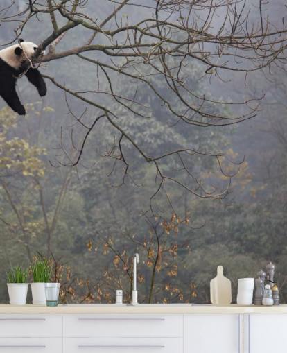 Panda in einem Baum Tapete Panda in einem Baum Tapete