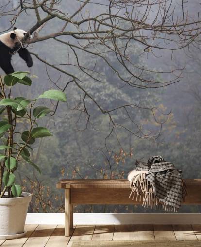 panda in a tree wallpaper