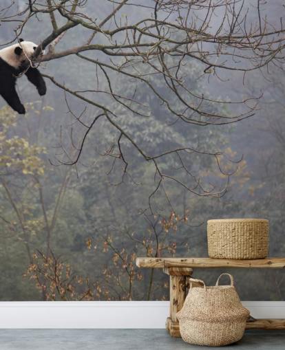 panda in a tree wallpaper